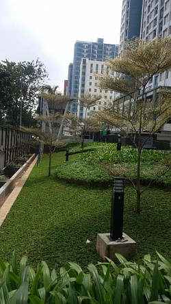 Jasa pembuatan taman hias